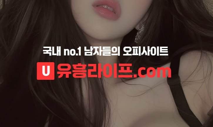유흥라이프 커뮤니티