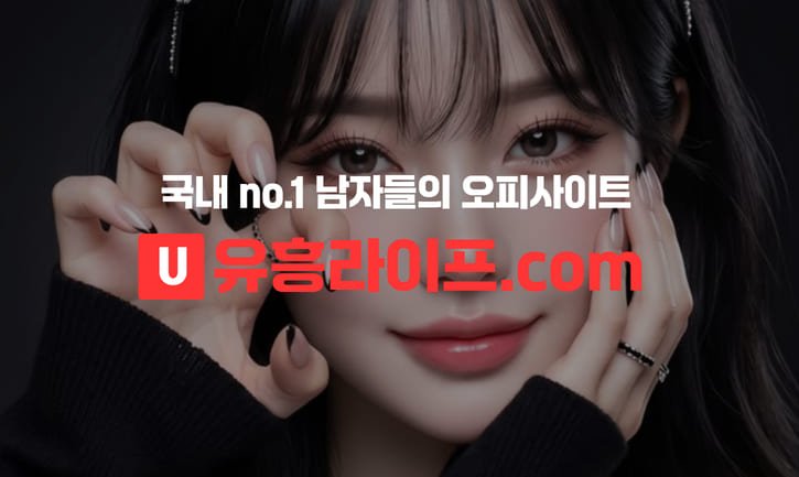 초보자 가이드