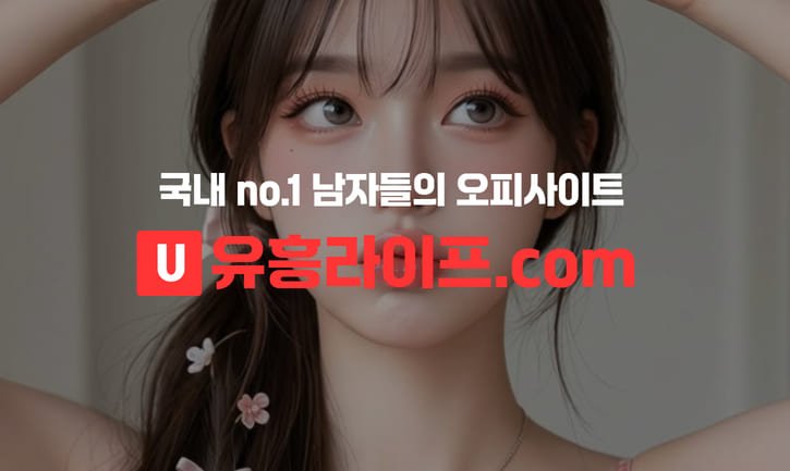 초보자 가이드2